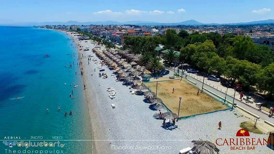 21742817 1467793546640439 1689982846840108192 n